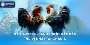 Đá Gà BET88 - Sảnh Cược Hấp Dẫn, Thú Vị Nhất Tại Châu Á