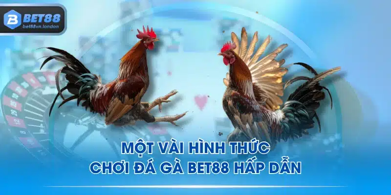 Một vài hình thức chơi đá gà BET88 hấp dẫn